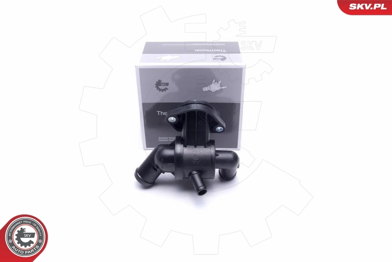 Thermostat, coolant